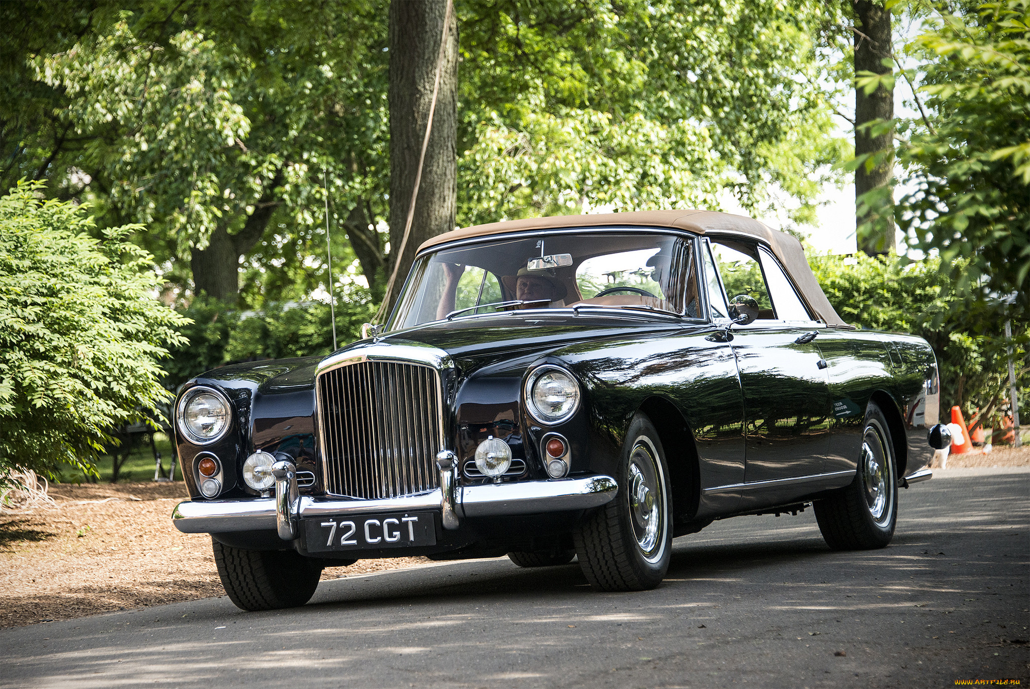 bentley continental, , bentley, , , 